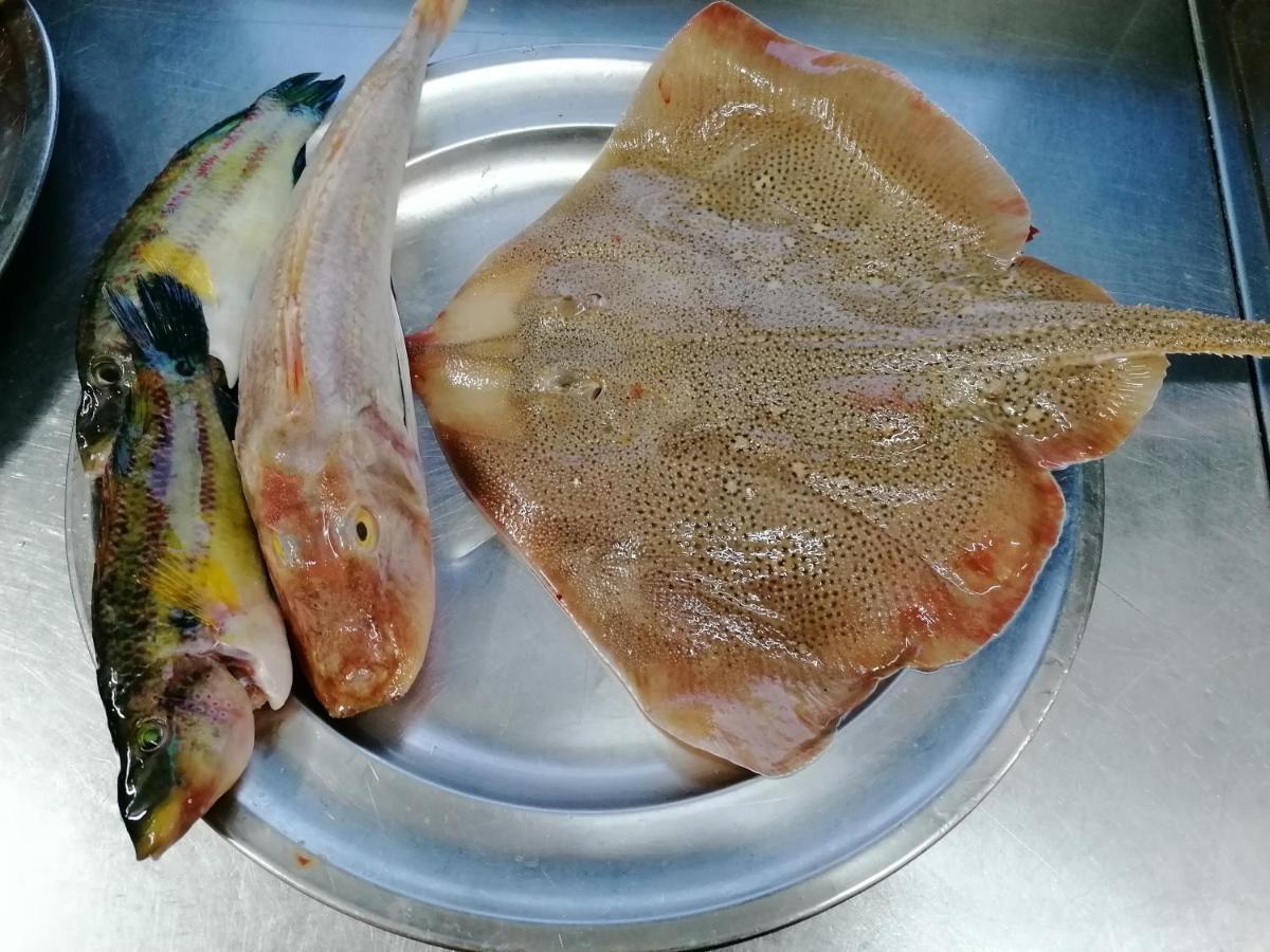 Hotel Posidonia 萨普里 外观 照片