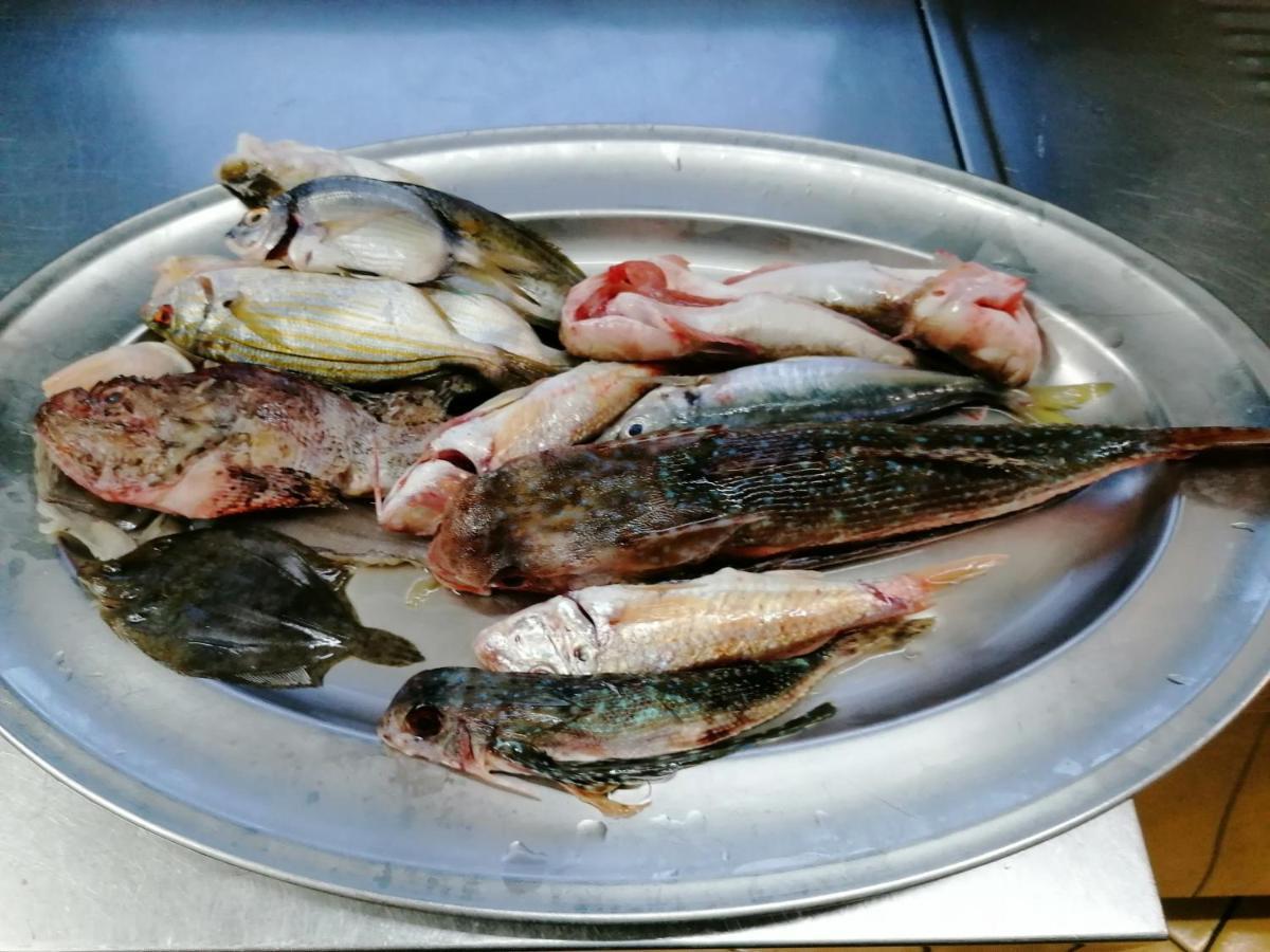Hotel Posidonia 萨普里 外观 照片