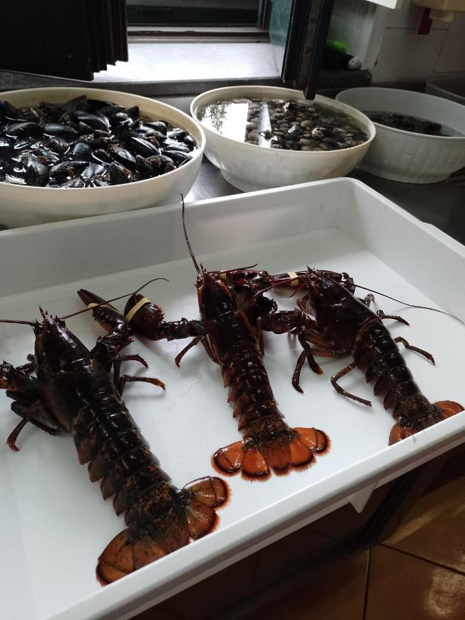 Hotel Posidonia 萨普里 外观 照片